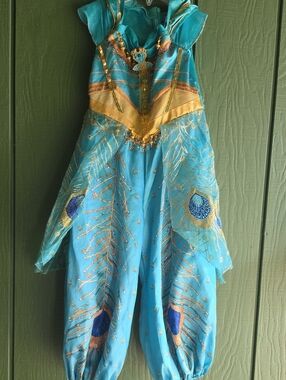 Disney Jasmine Peacock-Inspired Costume With Cape!